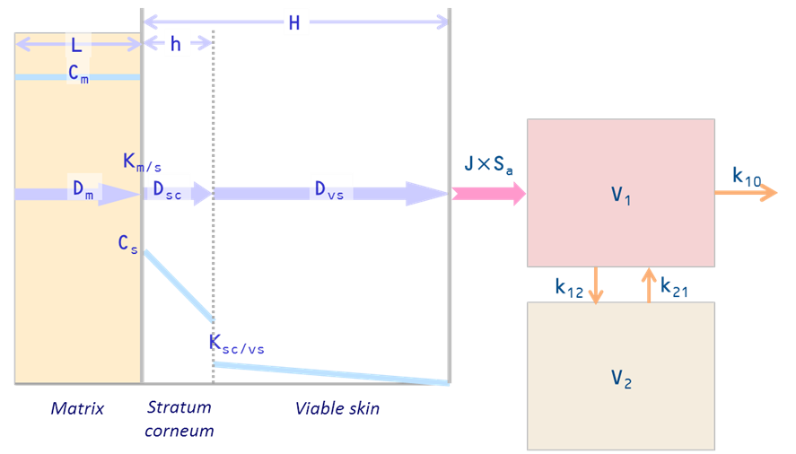 skincad_model